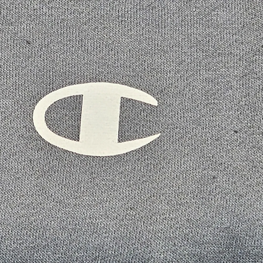 Champion 2 Peice Set Hoodie Sweater Elastic Waist Jogger Gray 2T / 3T